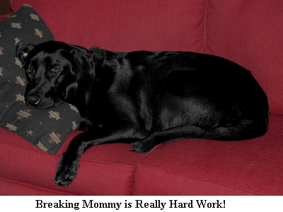 Tired Girl